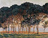 Under the Pine Trees at the End of the Day by Claude Monet